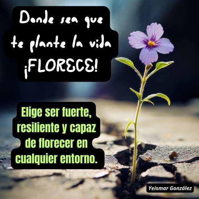 Donde sea que te plante la vida ¡FLORECE!: Elige ser fuerte, resiliente y capaz de florecer en cualquier entorno.
