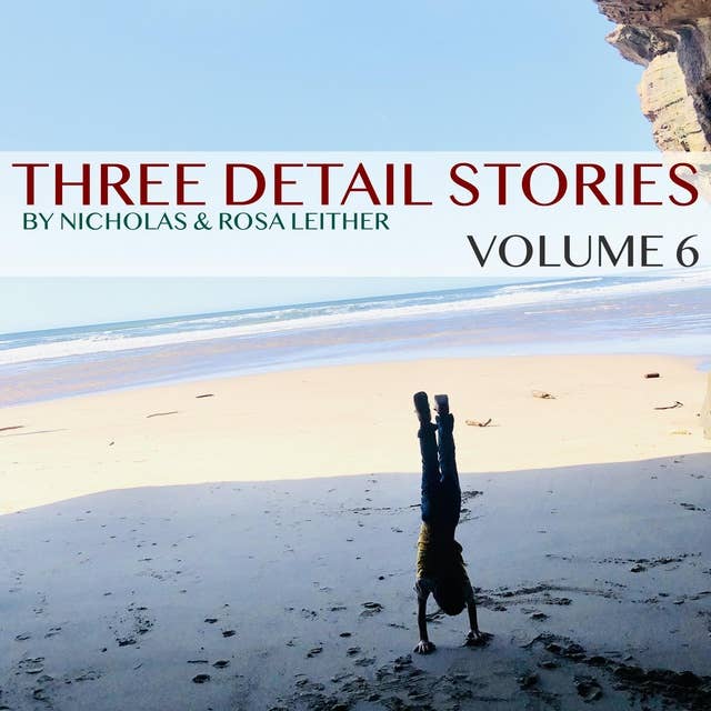 Three Detail Stories: Volume 6