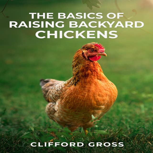 THE BASICS OF RAISING BACKYARD CHICKENS: A Comprehensive Guide to Raising Happy and Healthy Chickens in Your Own Backyard (2023 Crash Course)