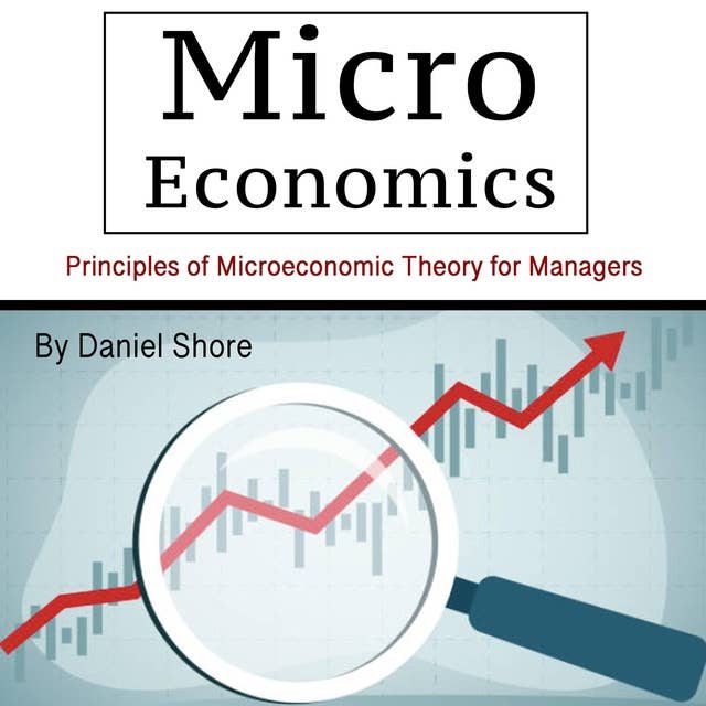 Micro Economics: Principles of Microeconomic Theory for Managers 