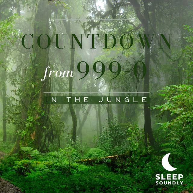 Countdown from 999-0: In the Jungle