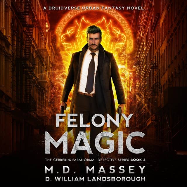 Felony Magic: A Druidverse Urban Fantasy Novel