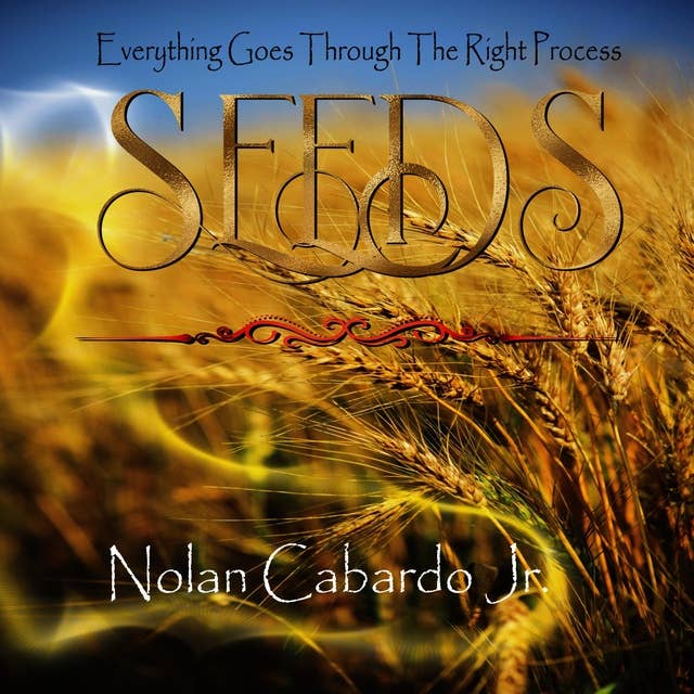 Seeds: Everything Goes Through The Right Process