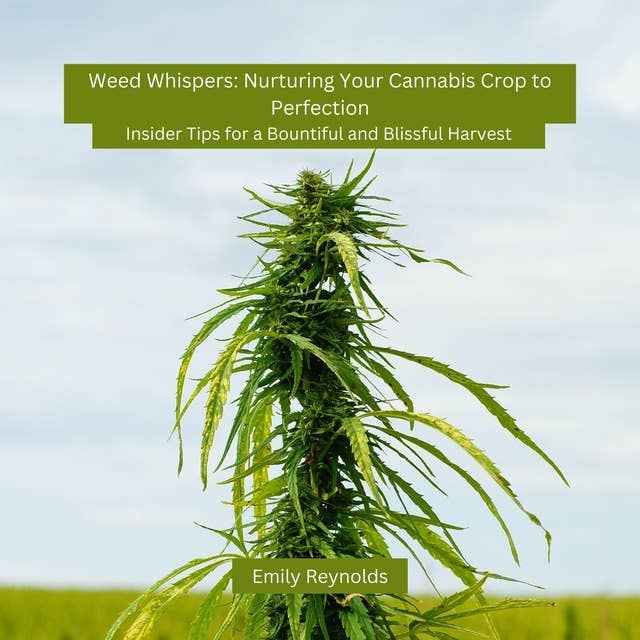 Weed Whispers: Nurturing Your Cannabis Crop to Perfection: Insider Tips for a Bountiful and Blissful Harvest