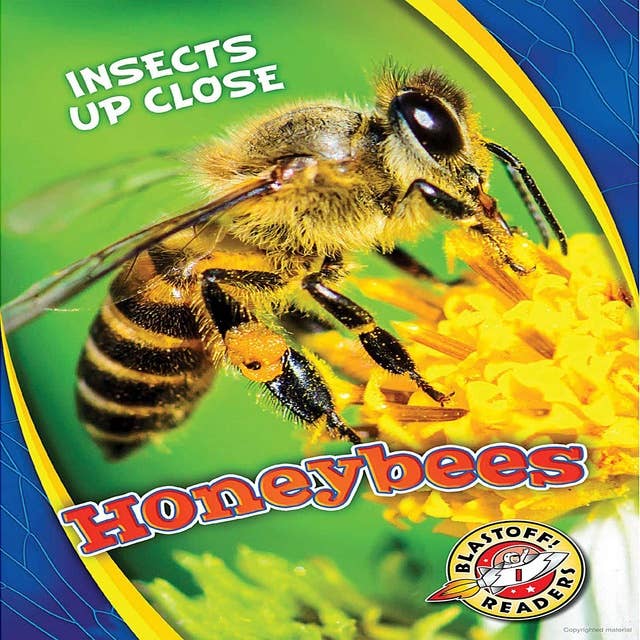 Insects Up Close: Honeybees