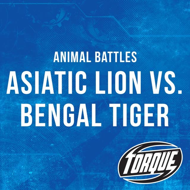 Asiatic Lion vs. Bengal Tiger