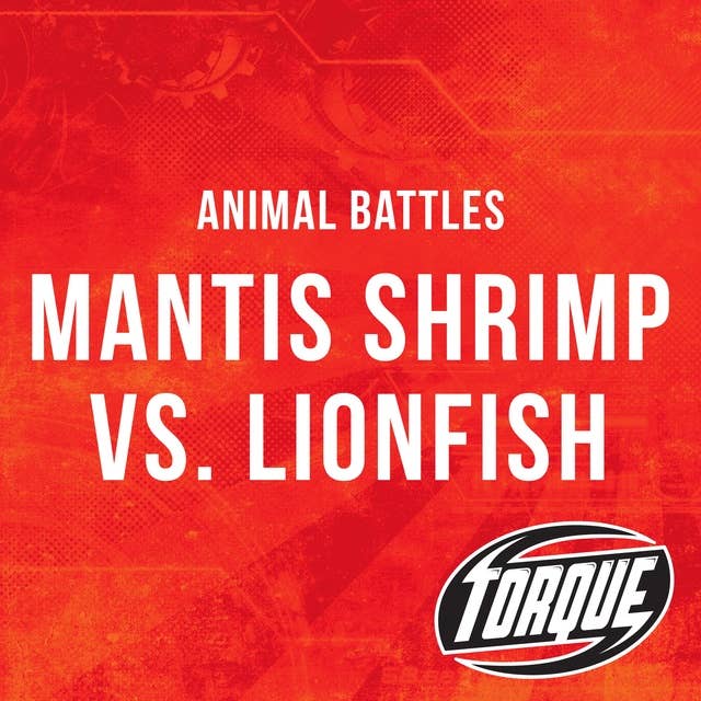 Mantis Shrimp vs. Lionfish