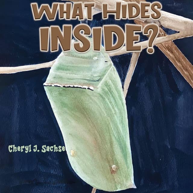 What Hides Inside?