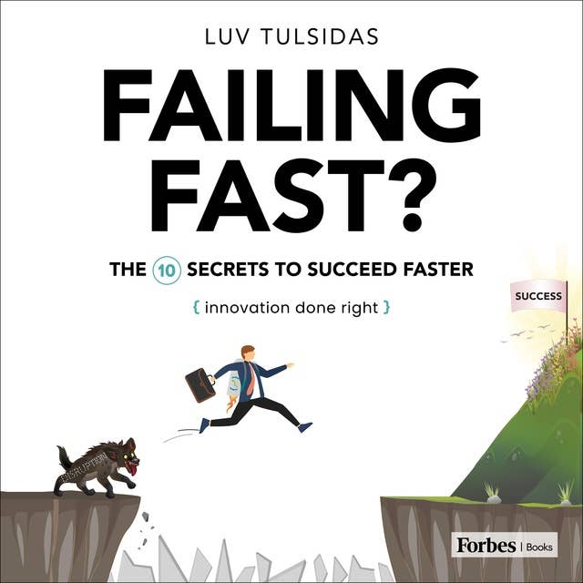Failing Fast?: The Ten Secrets to Succeed Faster