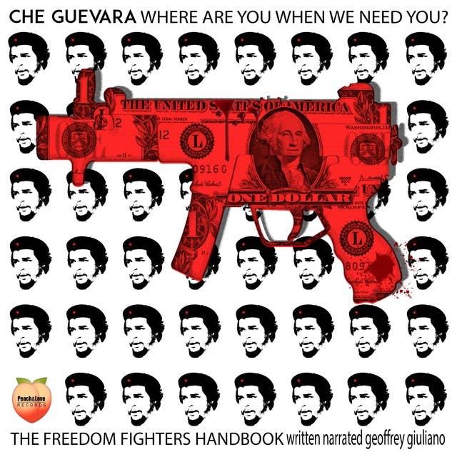 CHE GUEVARA WHERE ARE YOU WHEN WE NEED YOU?: A FREEDOM FIGHTERS HANDBOOK