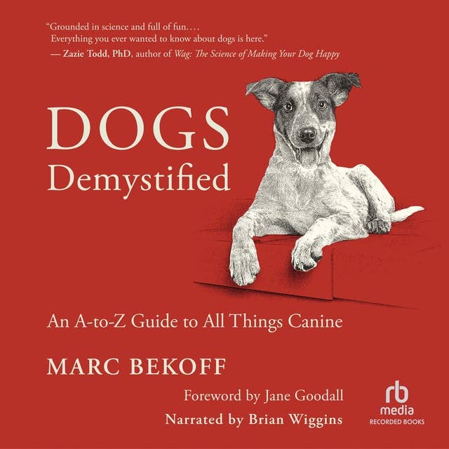 Cover for Dogs Demystified: An A–Z Guide to All Things Canine