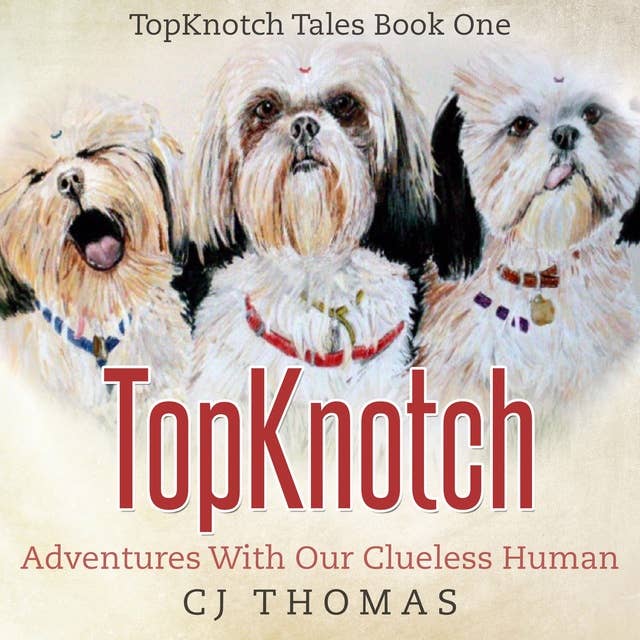TopKnotch: Adventures with our Clueless Human
