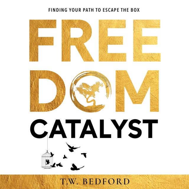 FREEDOM CATALYST: Finding Your Path to Escape the Box
