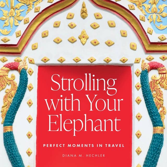 Strolling with Your Elephant: Perfect Moments in Travel