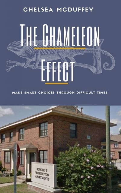 The Chameleon Effect: Make Smart Choices Through Difficult Times