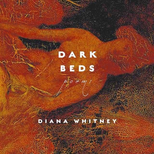 Dark Beds 