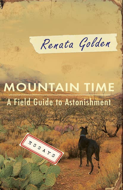 Mountain Time: A Field Guide to Astonishment